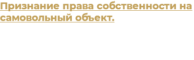 Признание права собственности на самовольный объект.